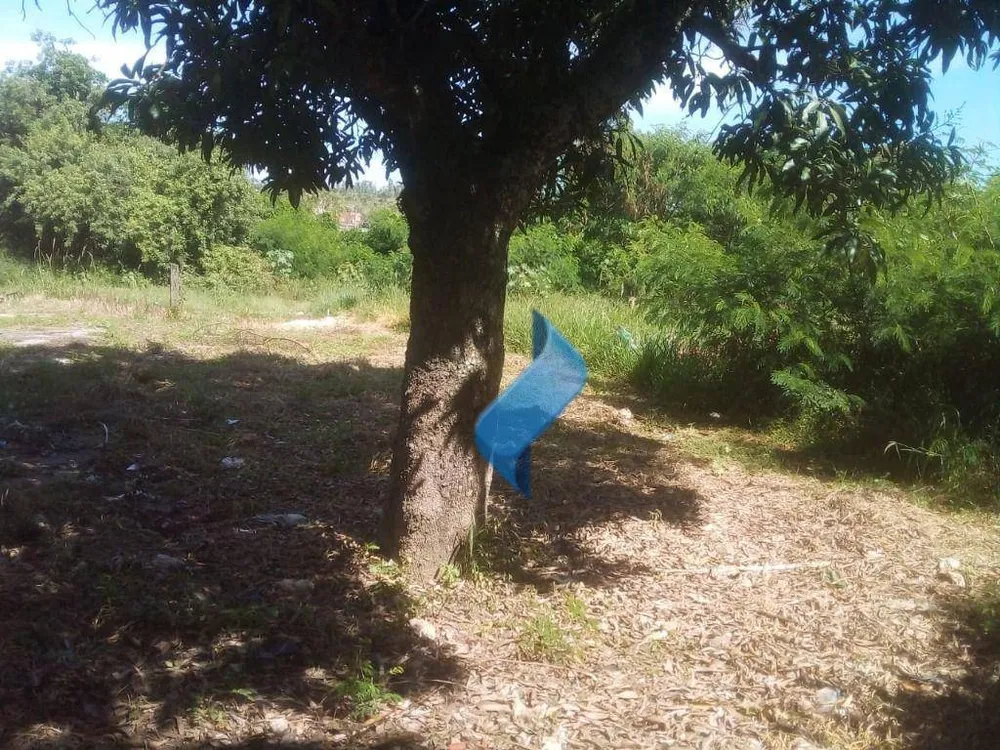 Terreno, 290 m² - Foto 2