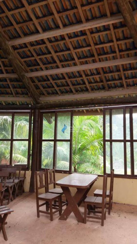 Sítio, 2 hectares - Foto 5