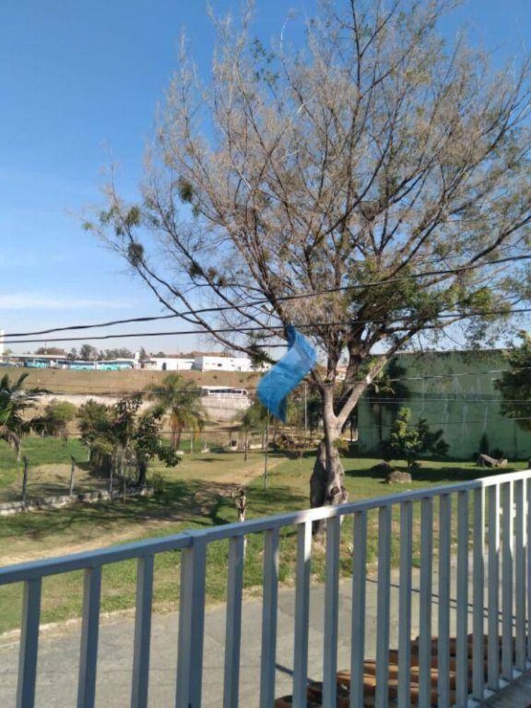 Casa, 4 quartos, 205 m² - Foto 14