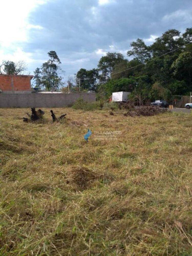 Terreno, 300 m² - Foto 1