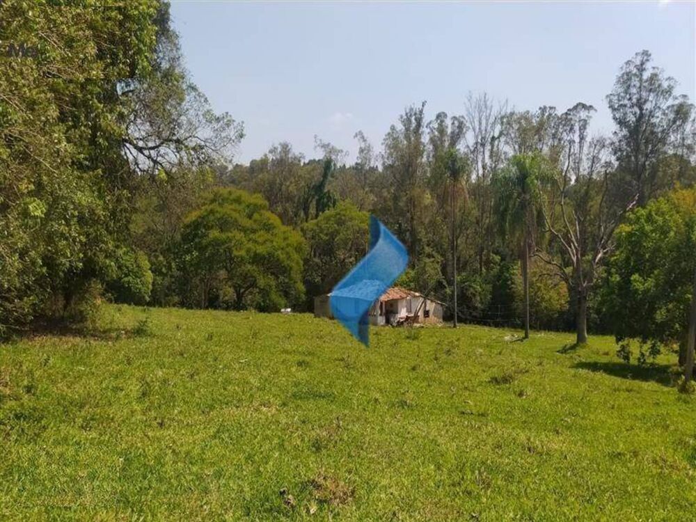 Terreno, 6 hectares - Foto 3