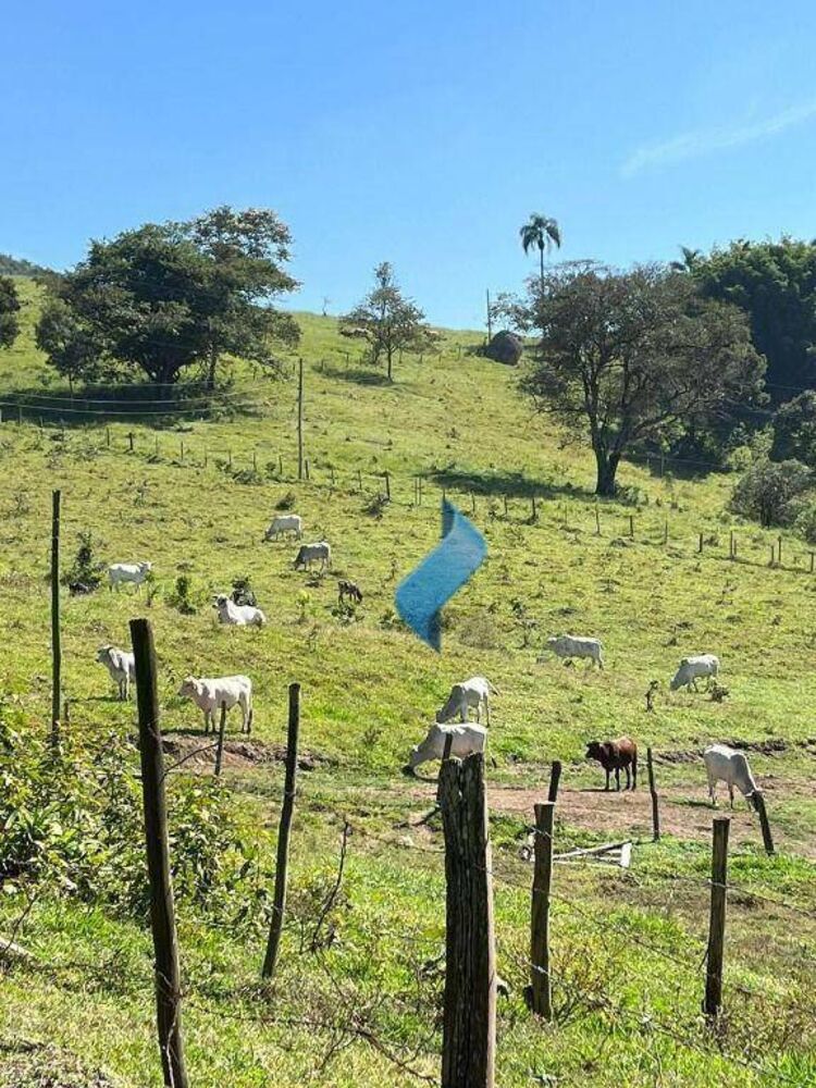 Sítio, 3 quartos, 113 m² - Foto 4