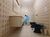 Apartamento, 3 quartos, 93 m² - Foto 16