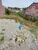 Terreno, 200 m² - Foto 3