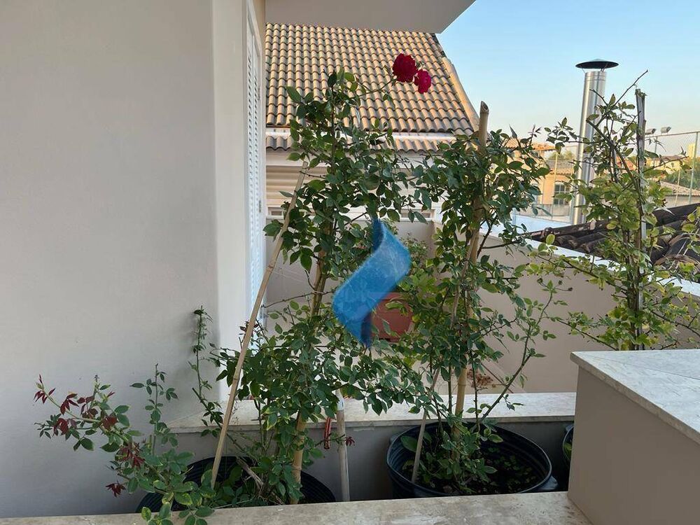 Casa para alugar com 4 quartos, 489m² - Foto 6