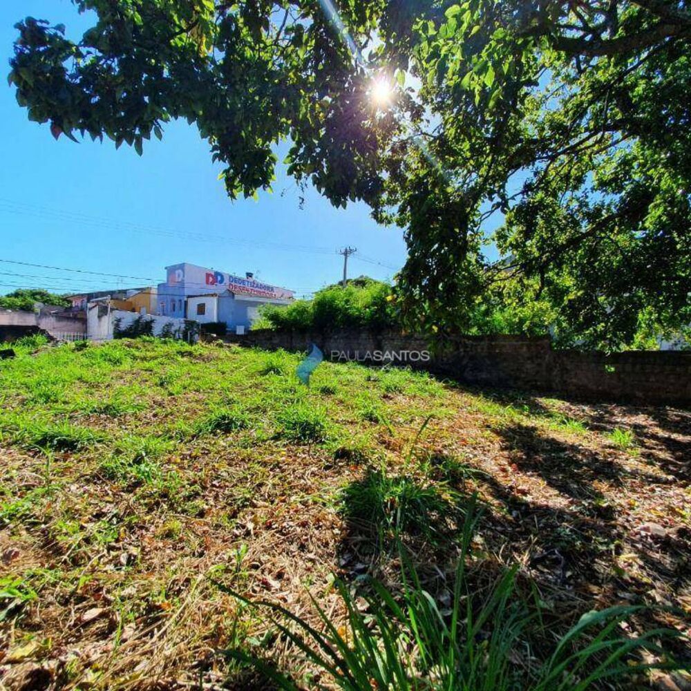 Terreno, 236 m² - Foto 1