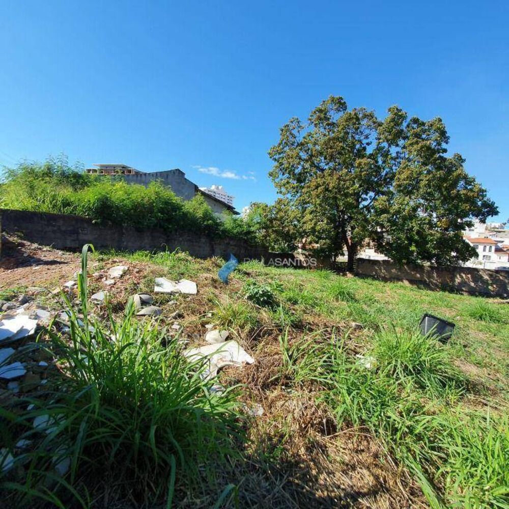 Terreno, 236 m² - Foto 5