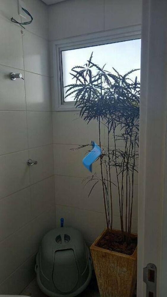 Apartamento, 3 quartos, 65 m² - Foto 25