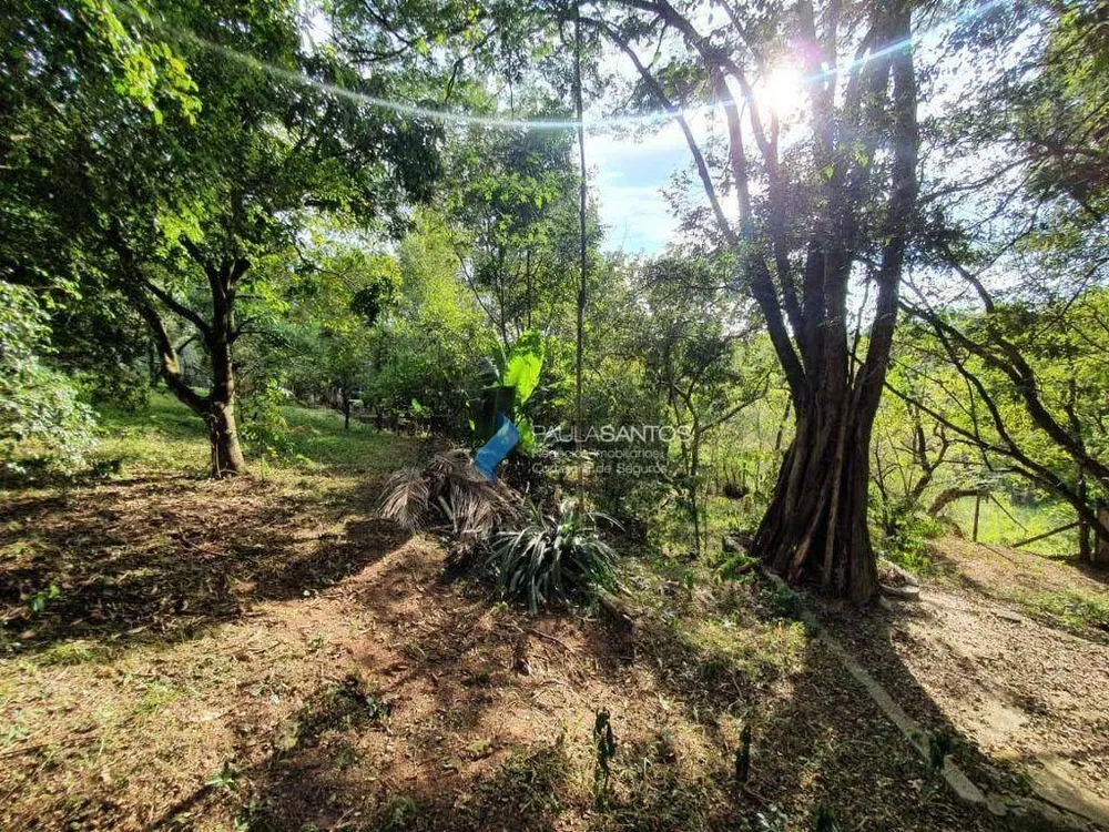 Chácara, 3 quartos, 4744 m² - Foto 4