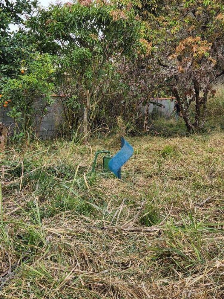 Terreno, 1333 m² - Foto 6