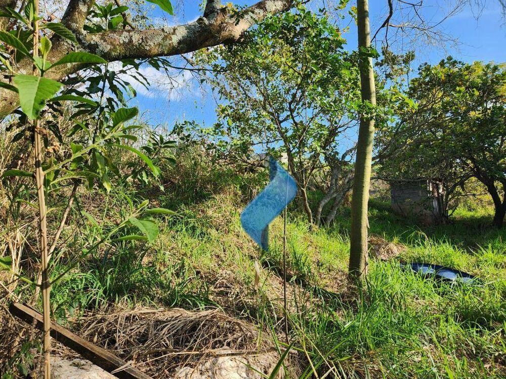 Terreno, 1333 m² - Foto 3