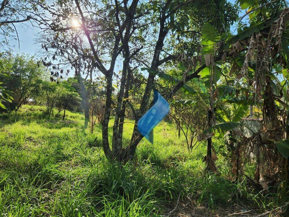 Terreno, 1333 m² - Foto 2