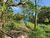 Terreno, 1333 m² - Foto 3
