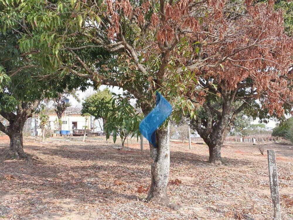 Terreno, 1 hectares - Foto 4