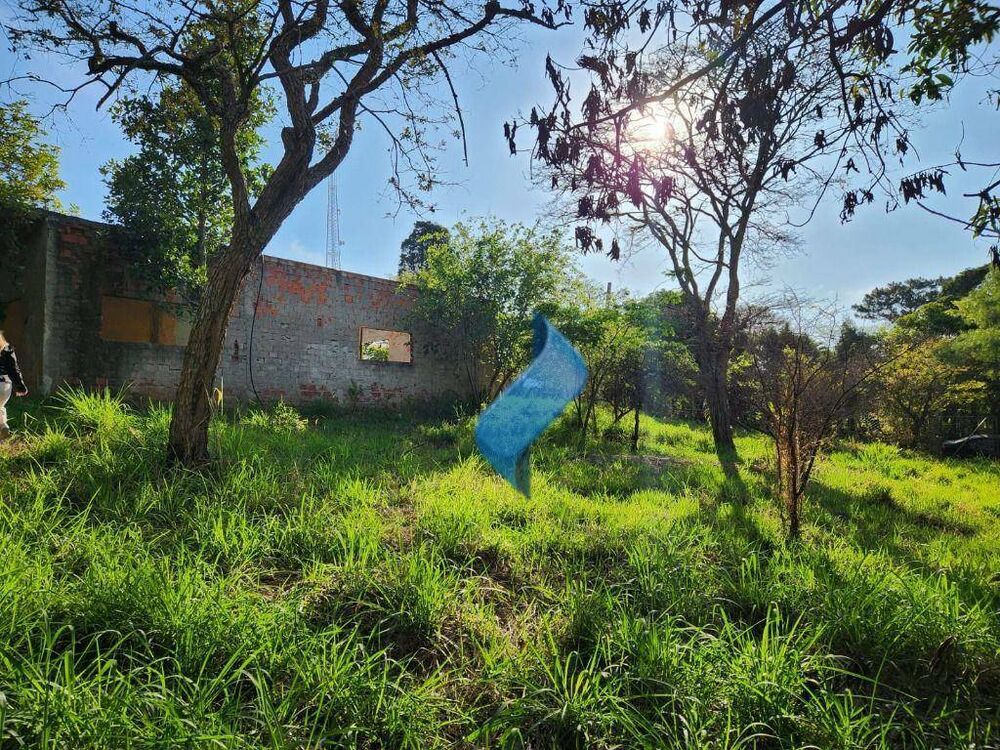 Chácara, 2 quartos, 1400 m² - Foto 4