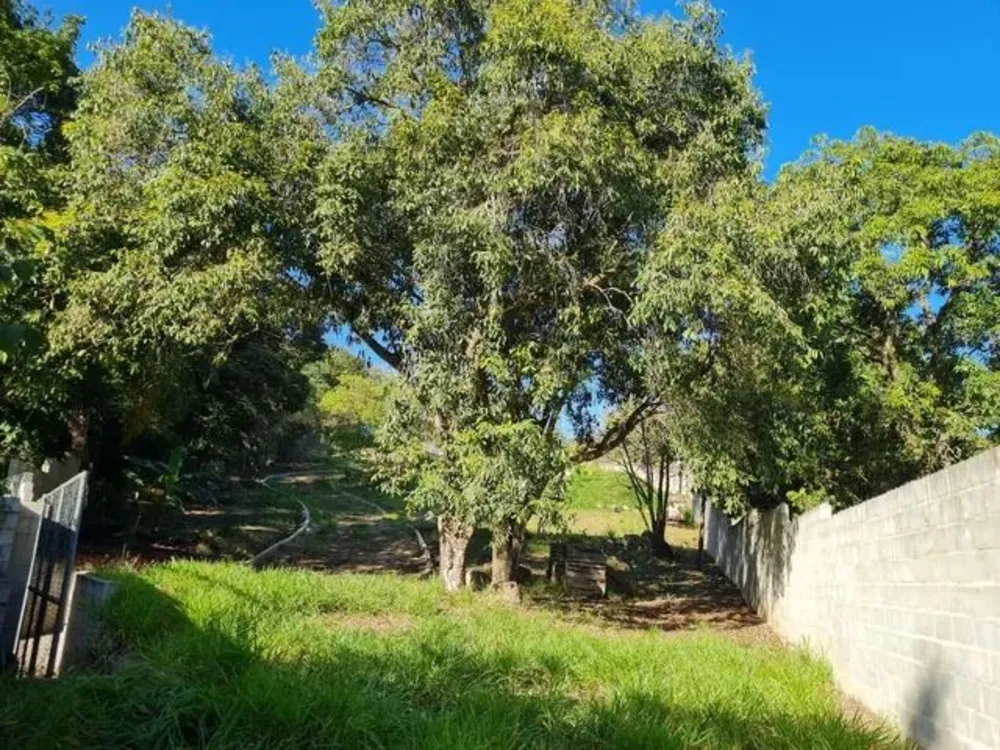 Terreno, 3658 m² - Foto 3