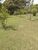 Chácara, 3 quartos, 1 hectares - Foto 22