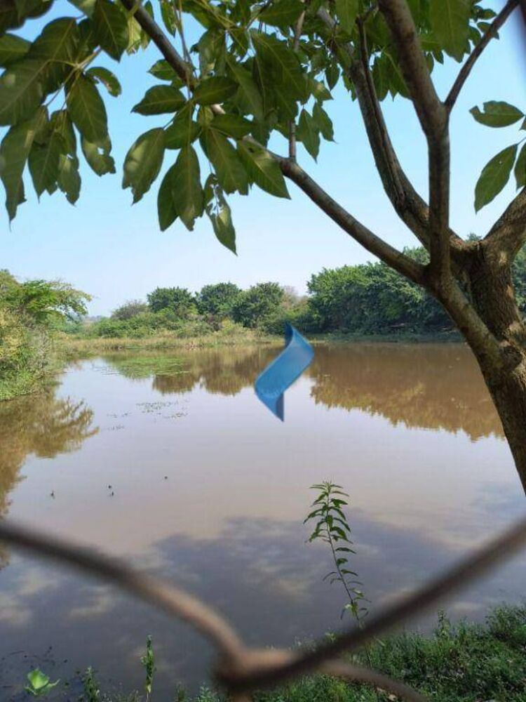 Casa, 4 quartos, 111 m² - Foto 15