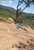 Terreno, 9996 m² - Foto 2
