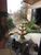 Apartamento, 3 quartos, 273 m² - Foto 22