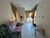 Casa, 4 quartos, 276 m² - Foto 2