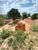 Terreno, 1875 m² - Foto 4
