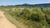 Terreno, 900 m² - Foto 3