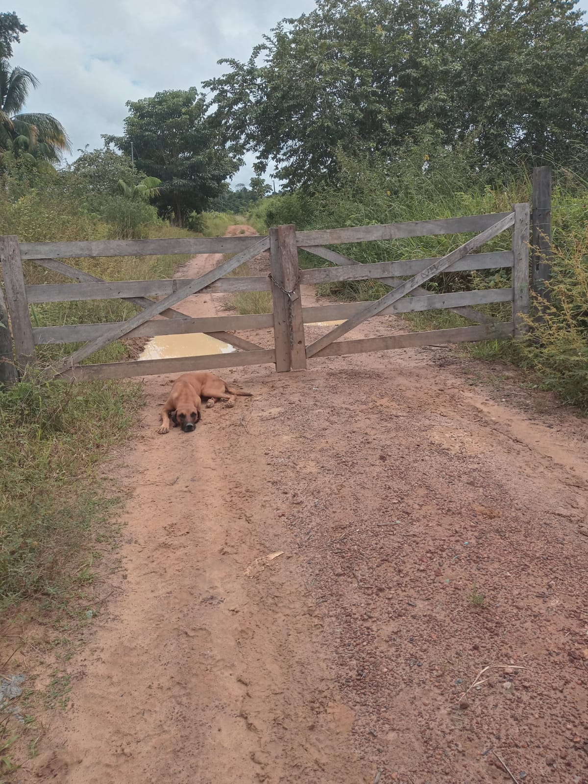 Fazenda à venda - Foto 1