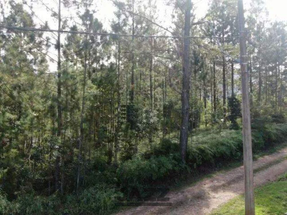 Terreno, 500 m² - Foto 3