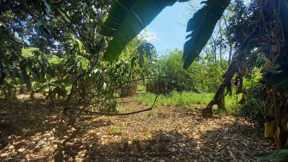 Terreno, 1500 m² - Foto 3