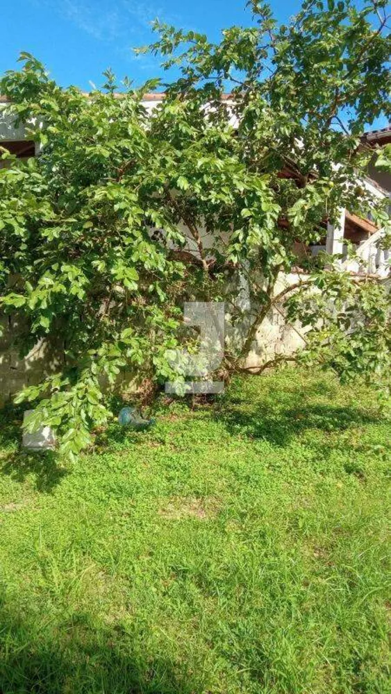 Terreno, 483 m² - Foto 7