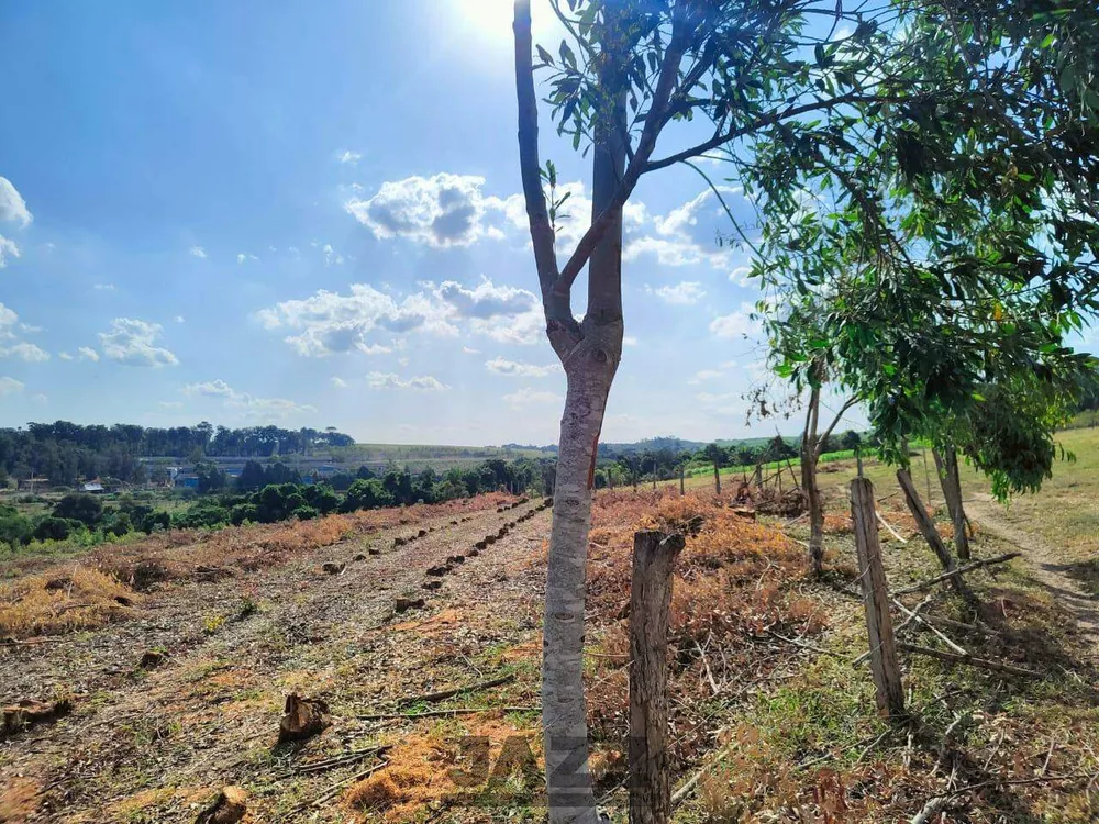 Prédio Inteiro - Foto 8