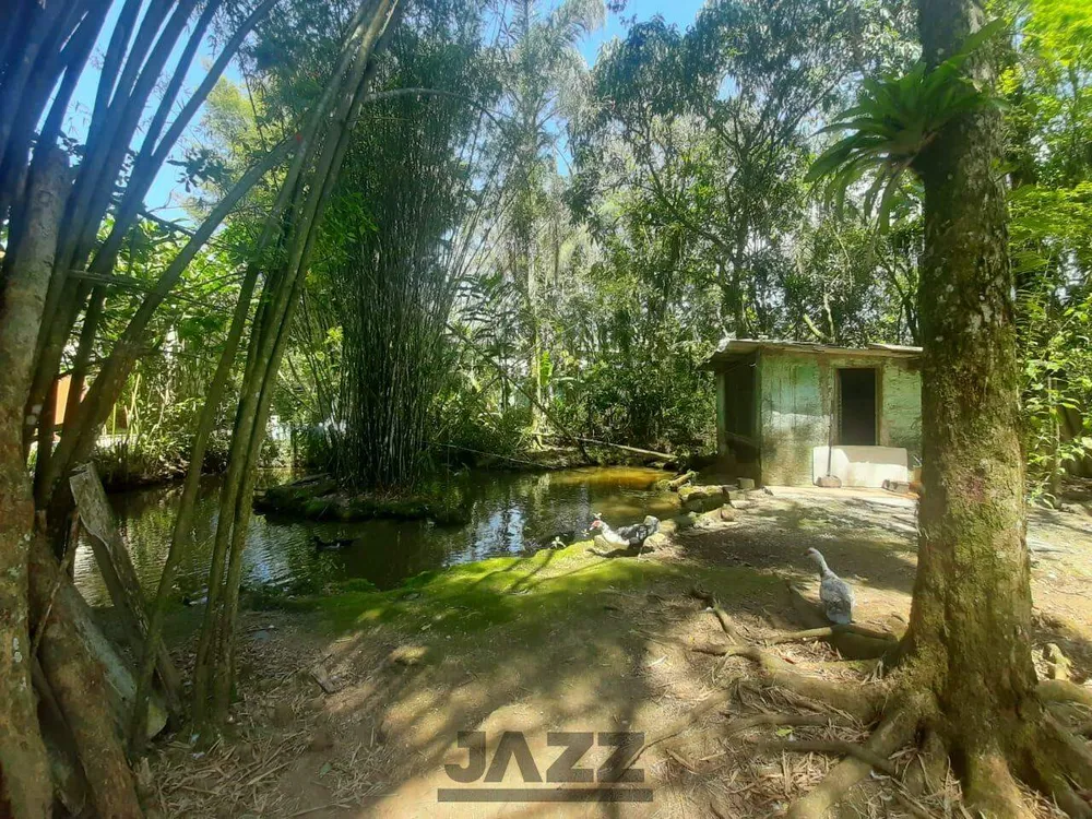 Chácara, 3 quartos - Foto 2