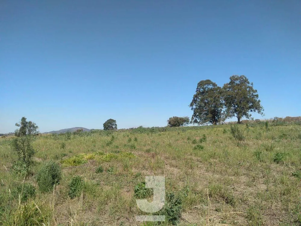 Terreno, 2 hectares - Foto 2