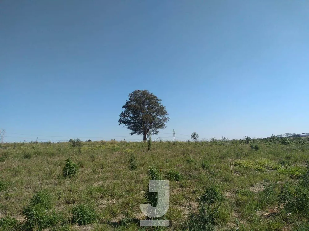 Terreno, 2 hectares - Foto 5