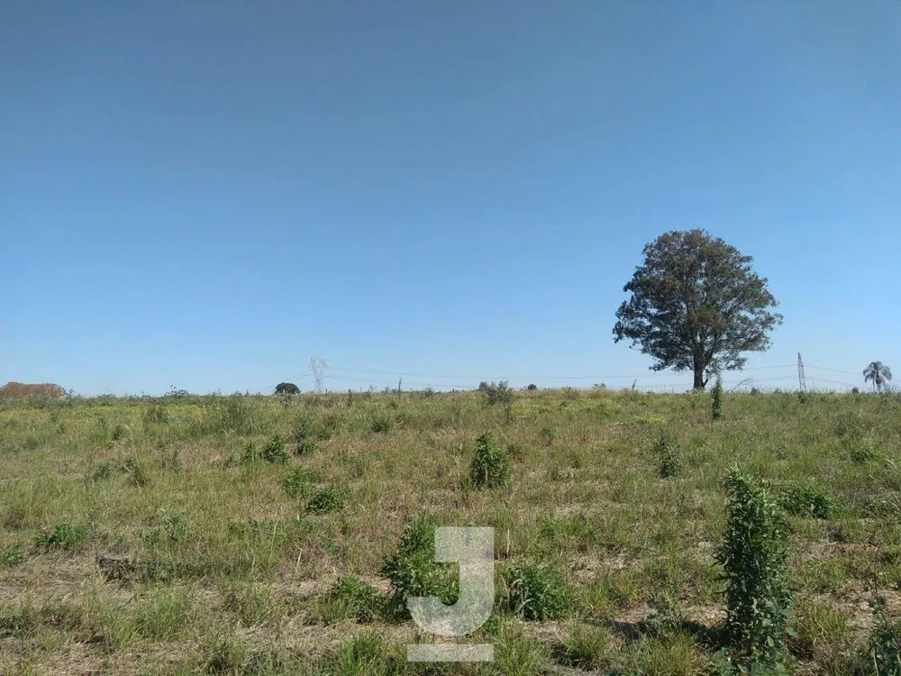 Terreno, 2 hectares - Foto 4