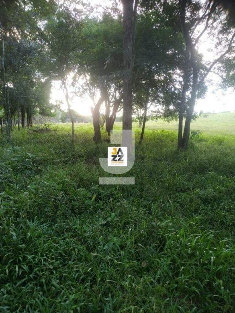 Sítio, 25509 m² - Foto 5