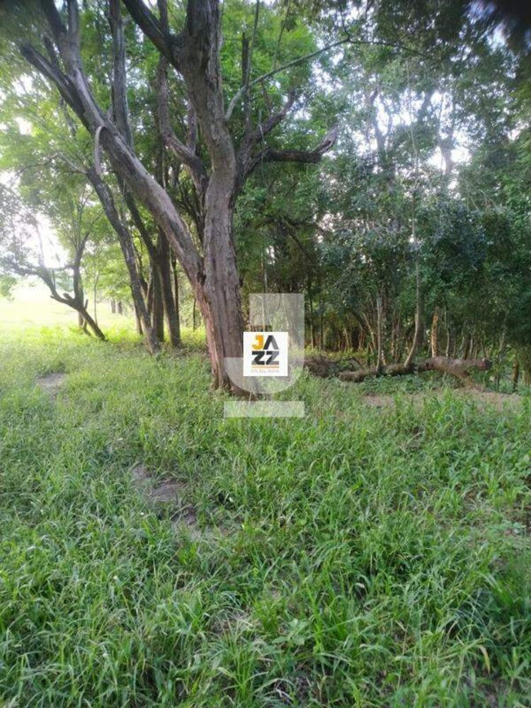 Sítio, 25509 m² - Foto 12