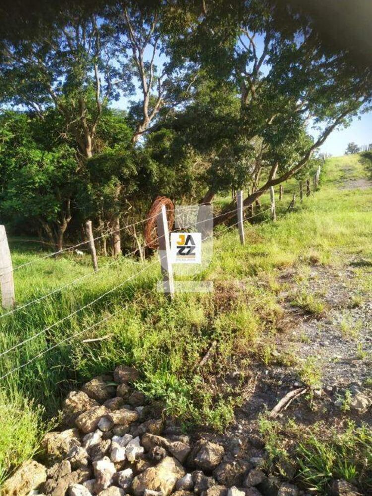 Sítio, 25509 m² - Foto 2