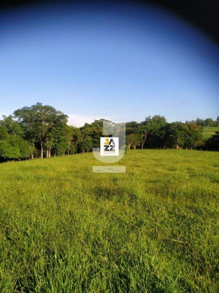 Sítio, 25509 m² - Foto 10