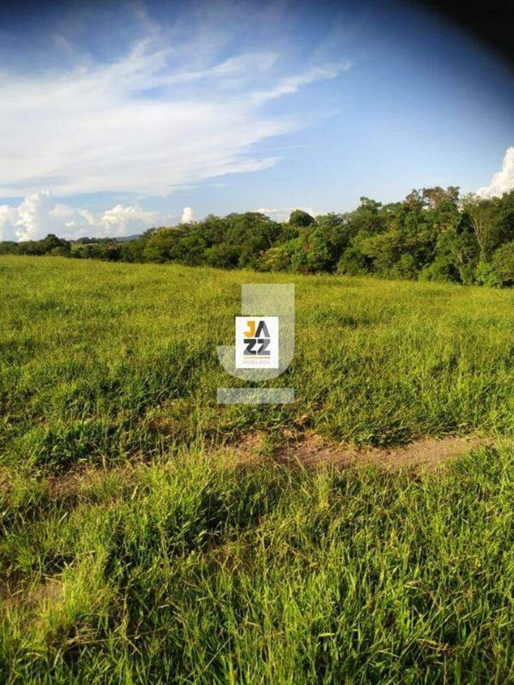 Sítio, 25509 m² - Foto 13