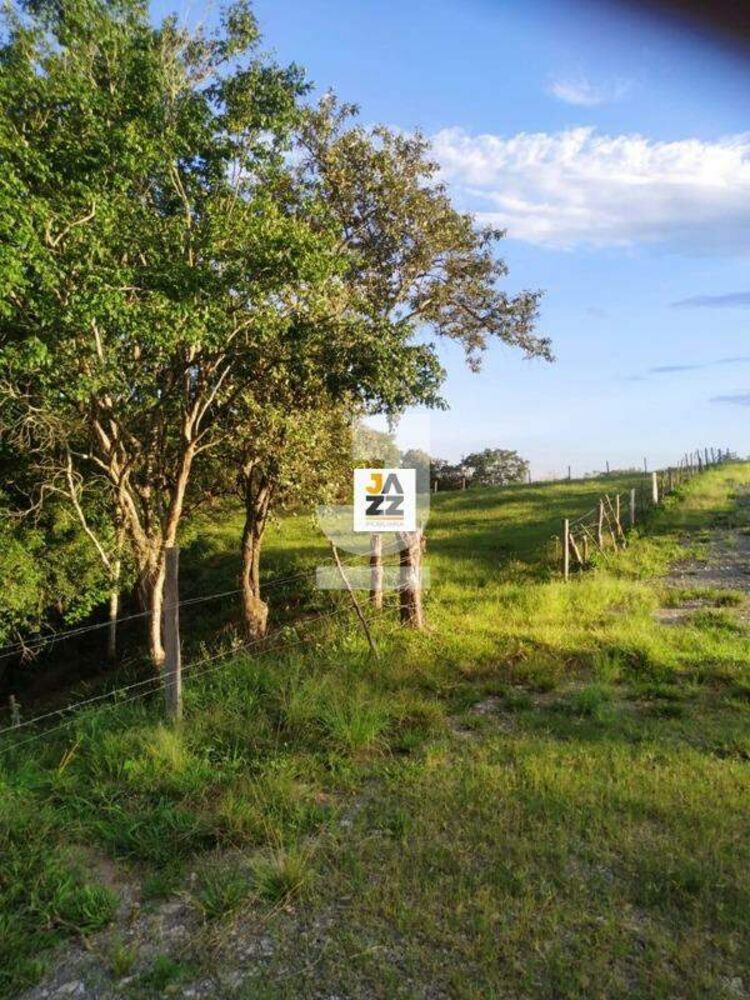 Sítio, 25509 m² - Foto 9