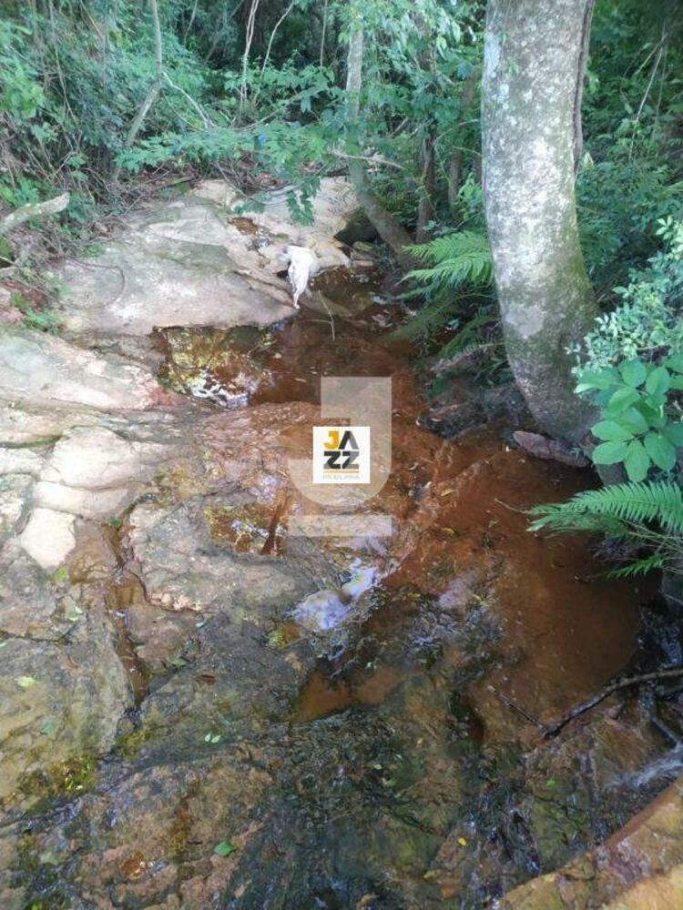 Sítio, 25509 m² - Foto 14