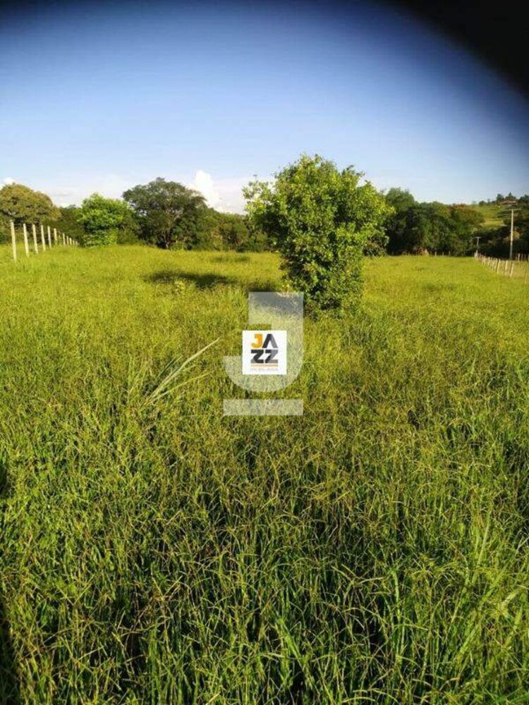 Sítio, 25509 m² - Foto 6