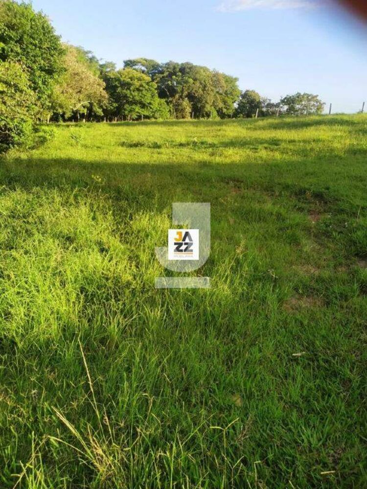 Sítio, 25509 m² - Foto 8