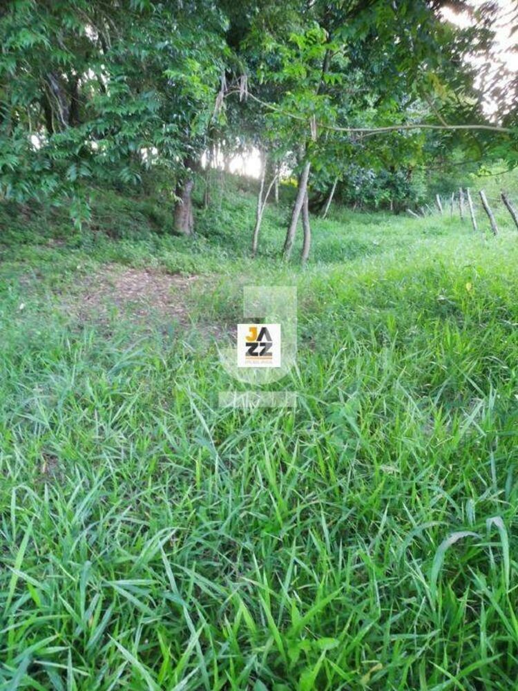 Sítio, 25509 m² - Foto 15