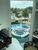 Casa, 6 quartos, 580 m² - Foto 4