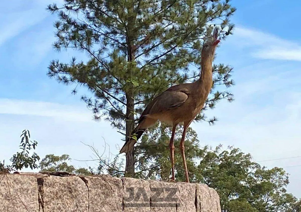 Terreno, 1870 m² - Foto 15