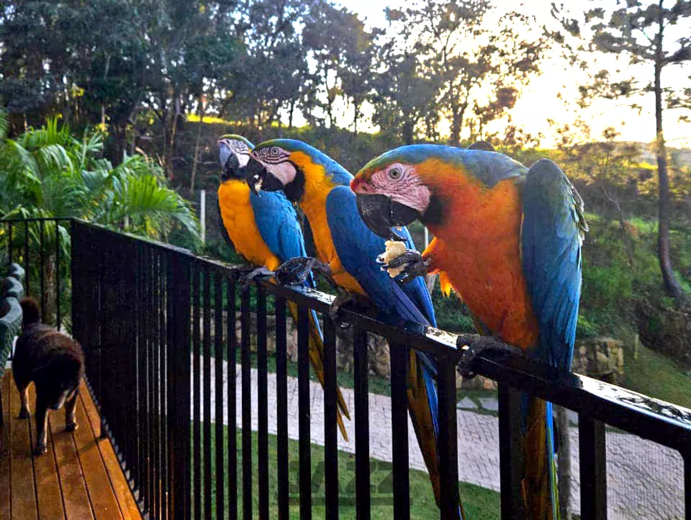 Terreno, 1870 m² - Foto 6