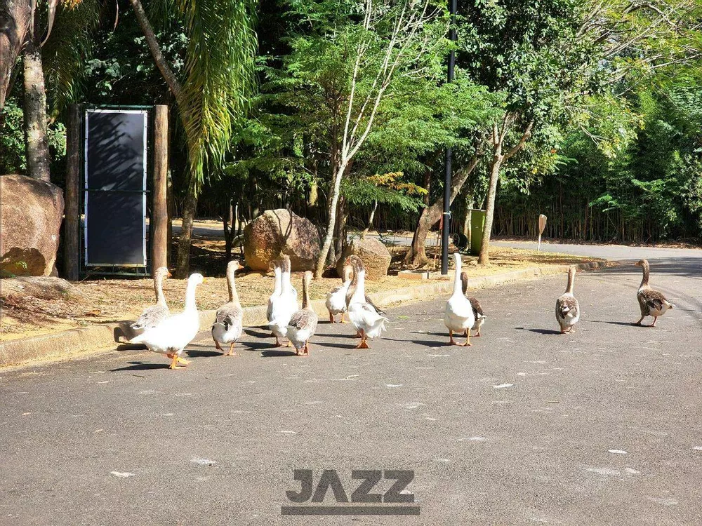 Terreno, 1870 m² - Foto 4